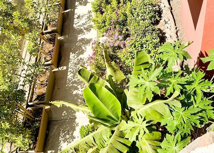 The Canarian Garden By Canaryscape Villa *
