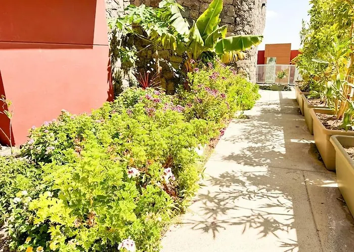 Villa The Canarian Garden By Canaryscape