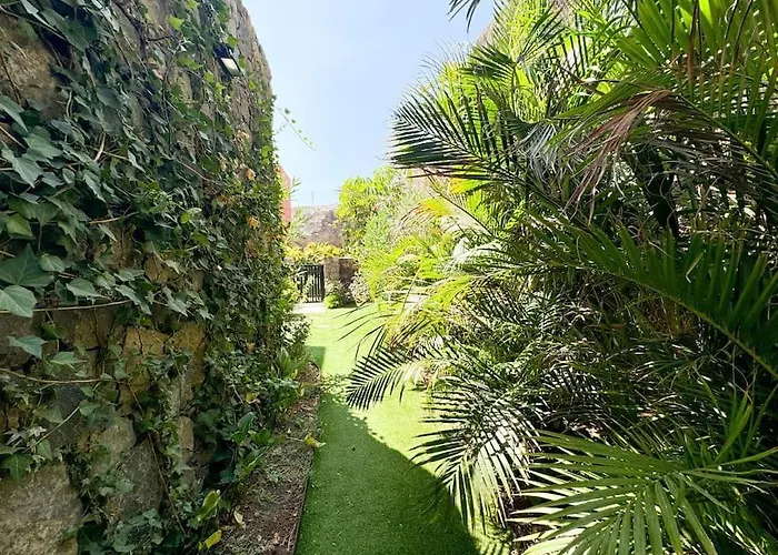 The Canarian Garden By Canaryscape Villa *
